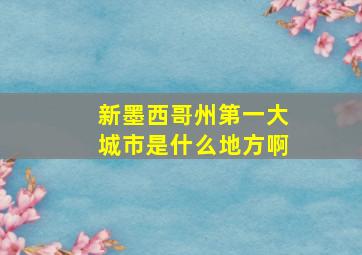 新墨西哥州第一大城市是什么地方啊