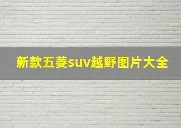 新款五菱suv越野图片大全