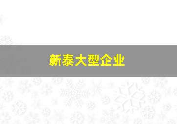 新泰大型企业