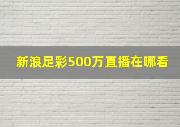 新浪足彩500万直播在哪看