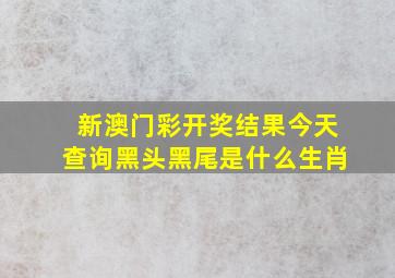 新澳门彩开奖结果今天查询黑头黑尾是什么生肖