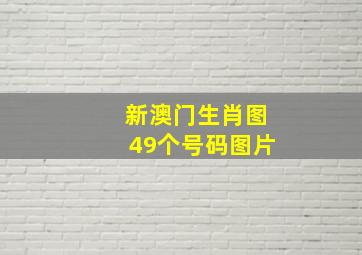 新澳门生肖图49个号码图片