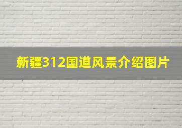 新疆312国道风景介绍图片