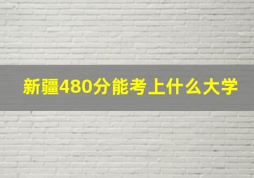 新疆480分能考上什么大学