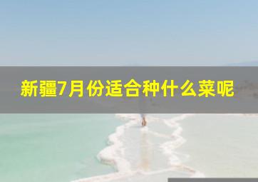 新疆7月份适合种什么菜呢