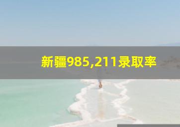 新疆985,211录取率