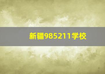 新疆985211学校