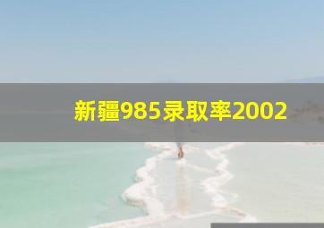 新疆985录取率2002