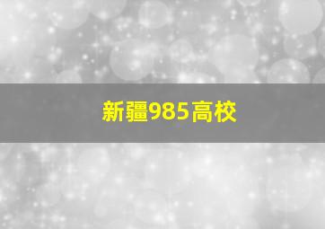 新疆985高校