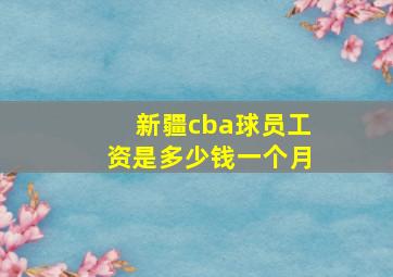 新疆cba球员工资是多少钱一个月