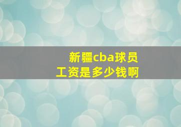 新疆cba球员工资是多少钱啊