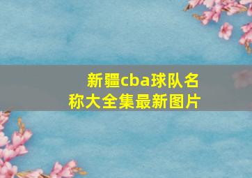 新疆cba球队名称大全集最新图片