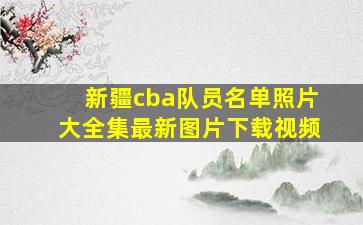 新疆cba队员名单照片大全集最新图片下载视频