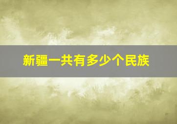 新疆一共有多少个民族