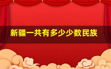 新疆一共有多少少数民族