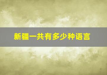 新疆一共有多少种语言