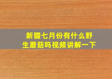 新疆七月份有什么野生蘑菇吗视频讲解一下