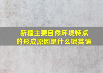 新疆主要自然环境特点的形成原因是什么呢英语