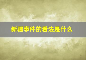 新疆事件的看法是什么