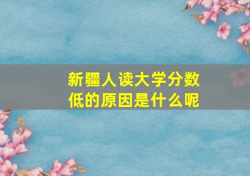 新疆人读大学分数低的原因是什么呢