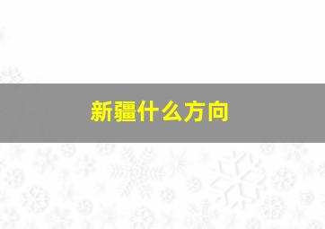 新疆什么方向