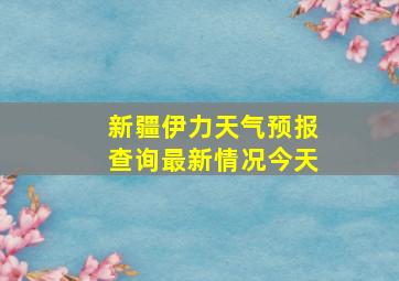 新疆伊力天气预报查询最新情况今天