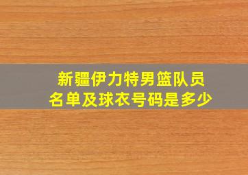 新疆伊力特男篮队员名单及球衣号码是多少