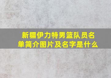 新疆伊力特男篮队员名单简介图片及名字是什么