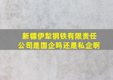 新疆伊犁钢铁有限责任公司是国企吗还是私企啊