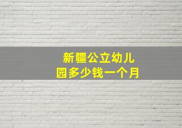 新疆公立幼儿园多少钱一个月