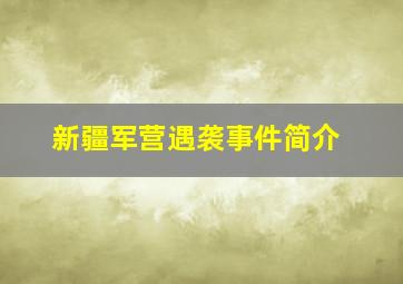 新疆军营遇袭事件简介