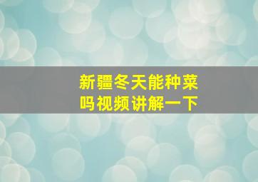 新疆冬天能种菜吗视频讲解一下