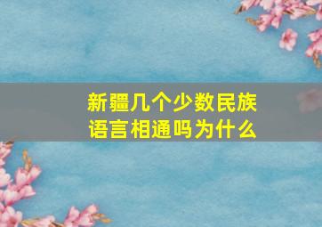 新疆几个少数民族语言相通吗为什么