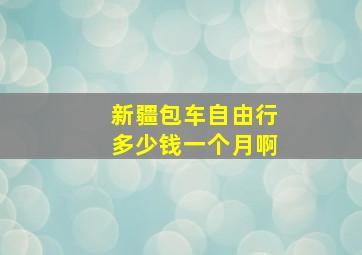 新疆包车自由行多少钱一个月啊