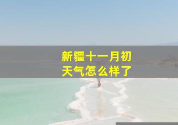 新疆十一月初天气怎么样了