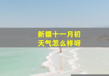 新疆十一月初天气怎么样呀