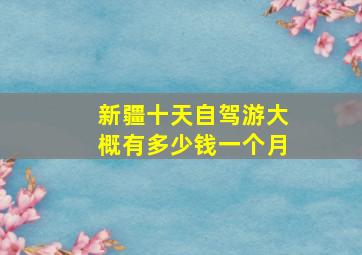 新疆十天自驾游大概有多少钱一个月