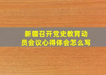 新疆召开党史教育动员会议心得体会怎么写