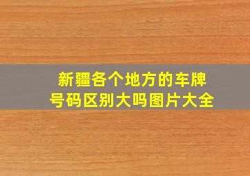 新疆各个地方的车牌号码区别大吗图片大全