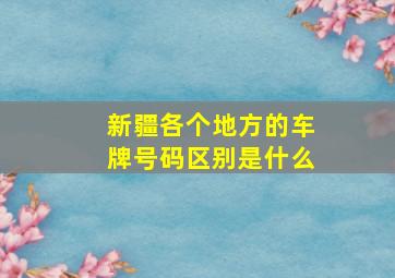 新疆各个地方的车牌号码区别是什么