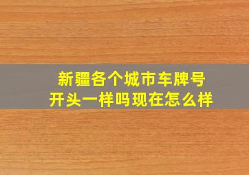 新疆各个城市车牌号开头一样吗现在怎么样