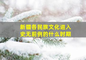 新疆各民族文化进入史无前例的什么时期