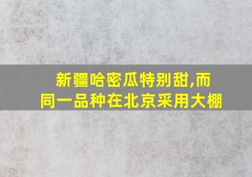 新疆哈密瓜特别甜,而同一品种在北京采用大棚