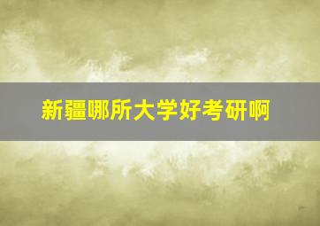 新疆哪所大学好考研啊