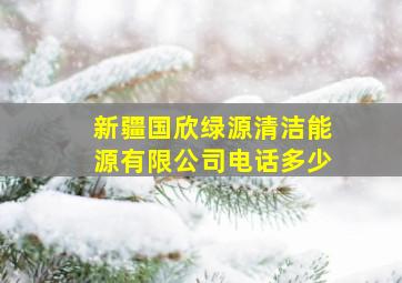 新疆国欣绿源清洁能源有限公司电话多少