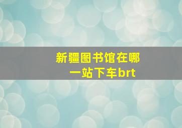 新疆图书馆在哪一站下车brt