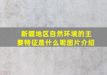 新疆地区自然环境的主要特征是什么呢图片介绍