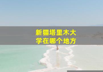 新疆塔里木大学在哪个地方