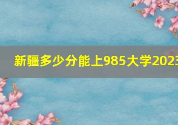 新疆多少分能上985大学2023