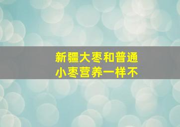 新疆大枣和普通小枣营养一样不